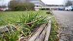 Naturaufnahme Campus PH Ludwigsburg