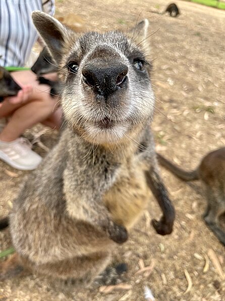 Nicole Deeg in Melbourne, Australien